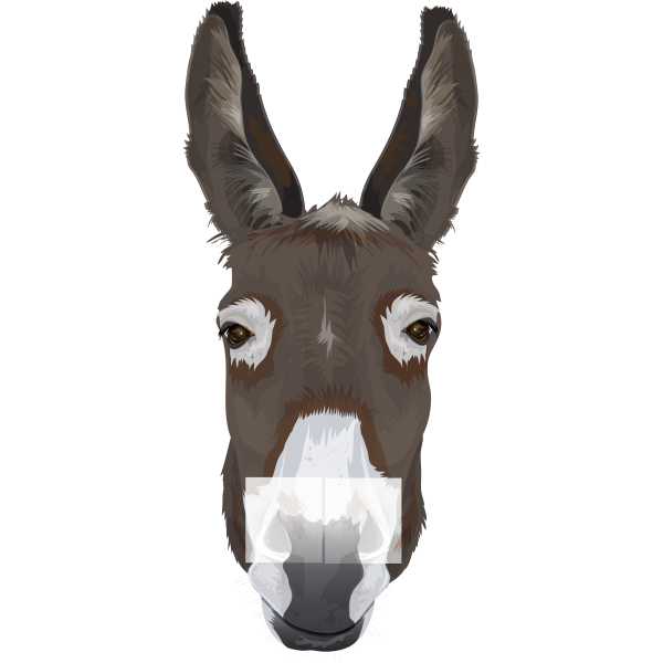 Donkey Head