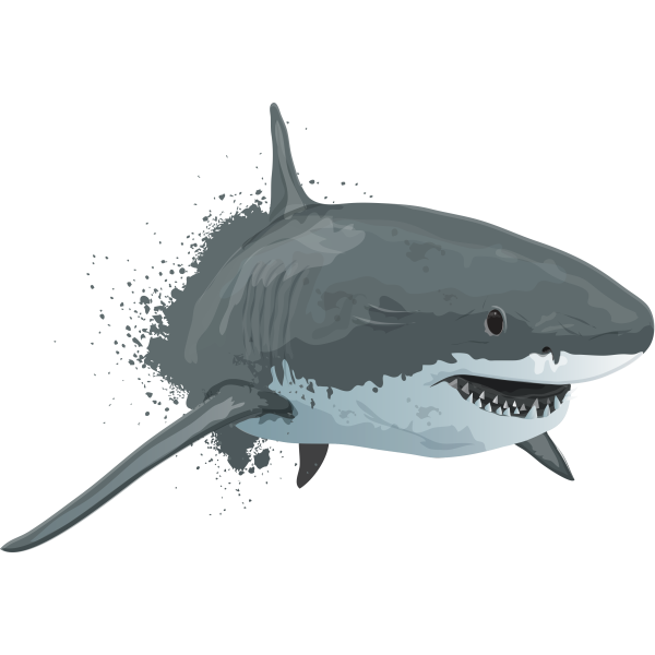 White Shark