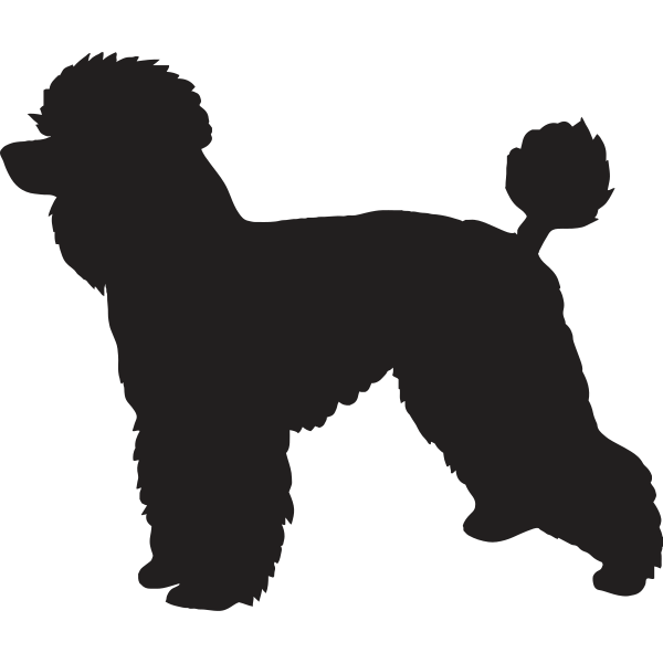 Poodle Silhouette