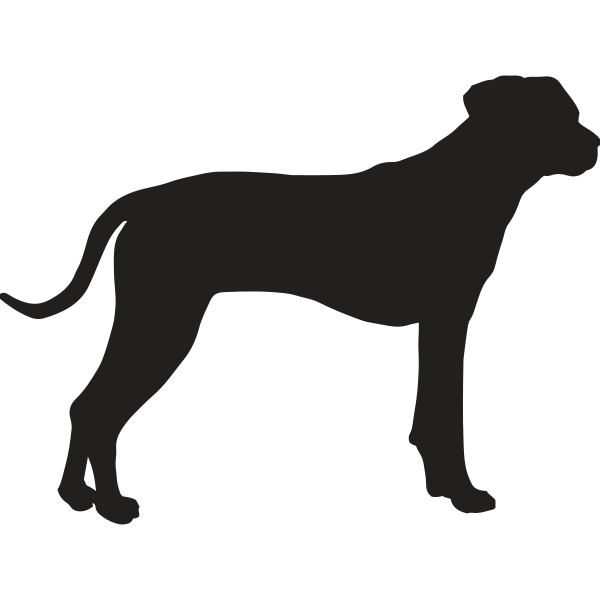 Labrador Silhouette