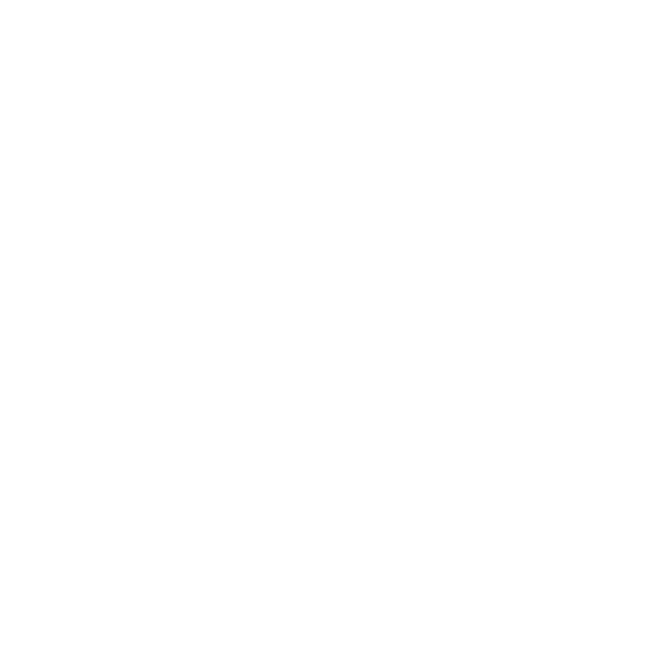 Braut Logo