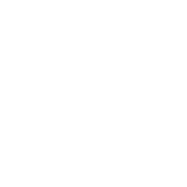 Bride Icon