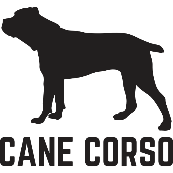 Cane Corso Illustration