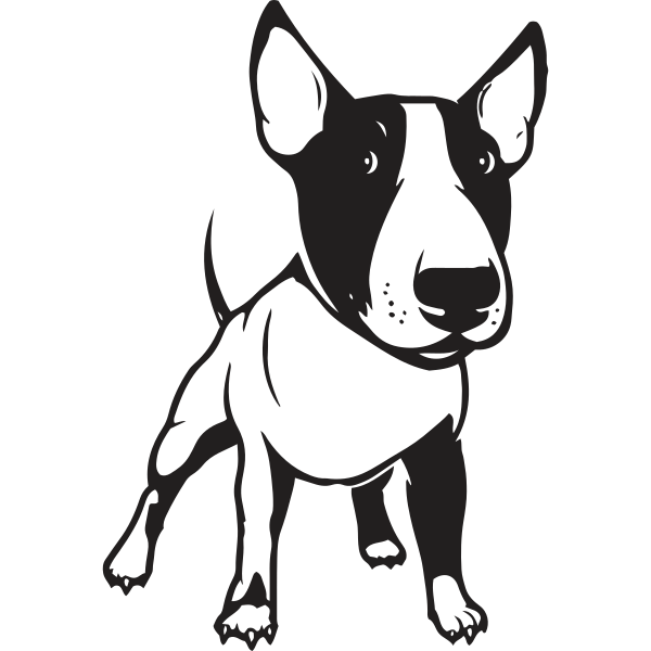 Dog Bull Terrier