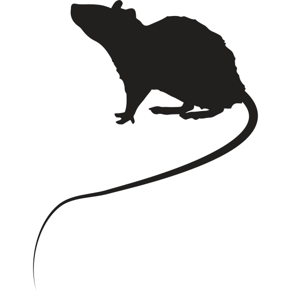 Mouse Silhouette