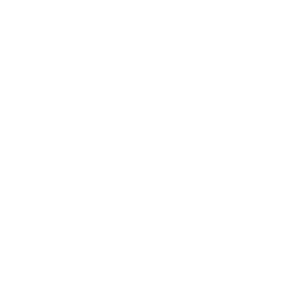 Man Evolution