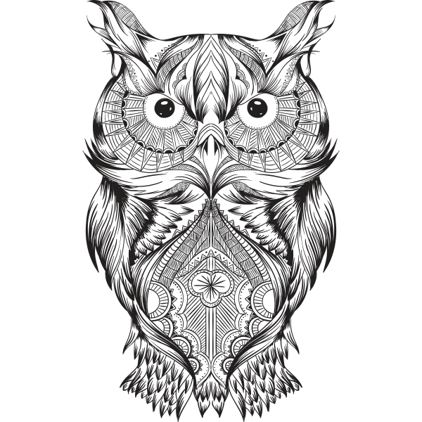 Stylish Owl Drawing