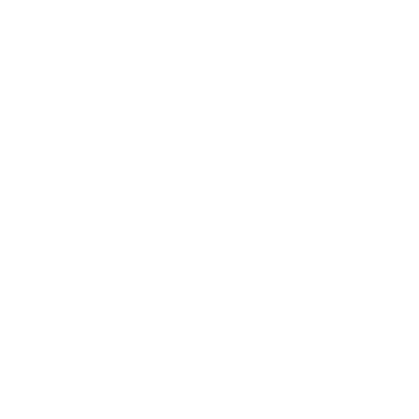 Skate Evolution