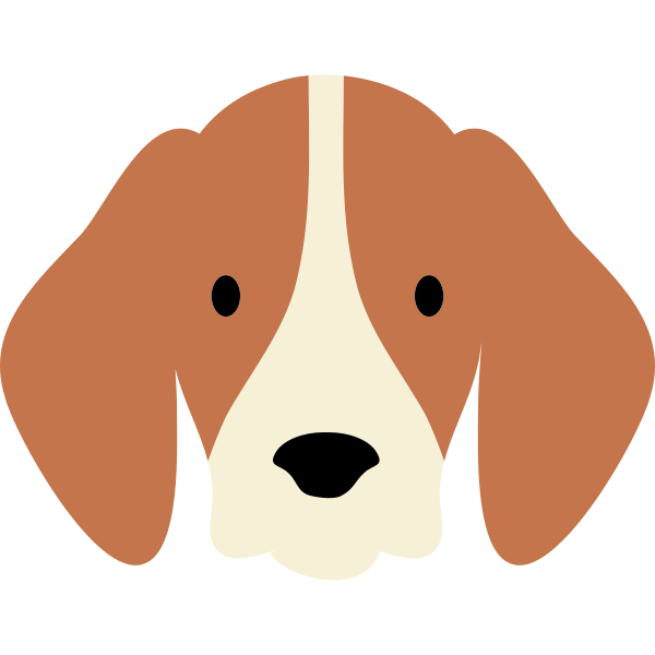 Beagle Puppy