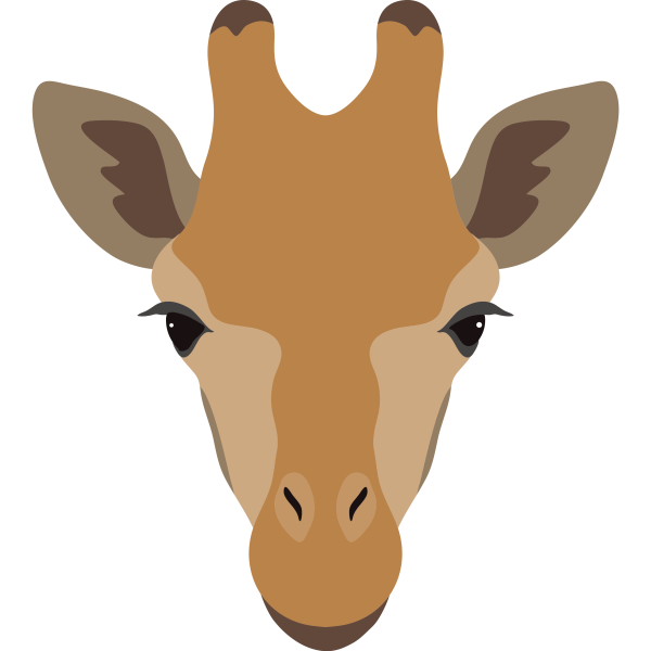 African Giraffe Head