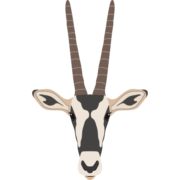 African Antelope