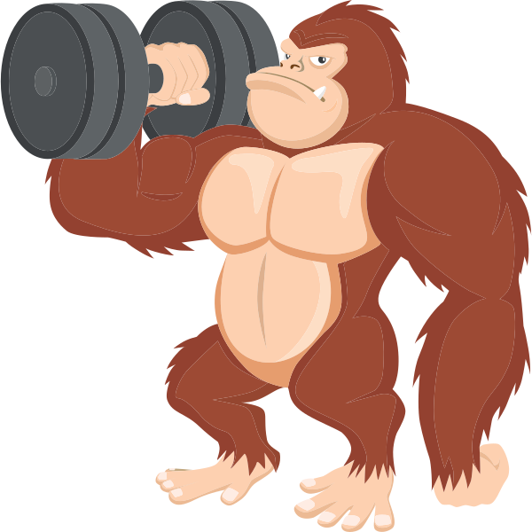 Training Gorilla