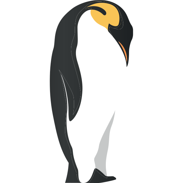 King Penguin