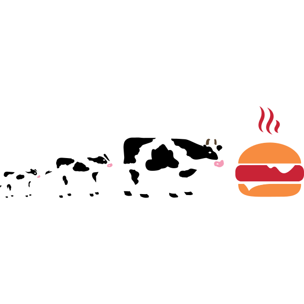 Evolution Cow To Hamburger