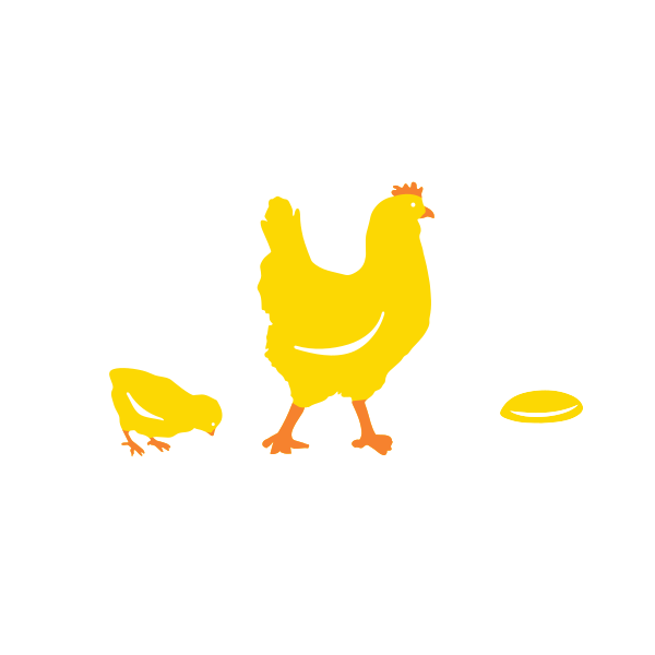 Evolution Chicken To Fried Egg