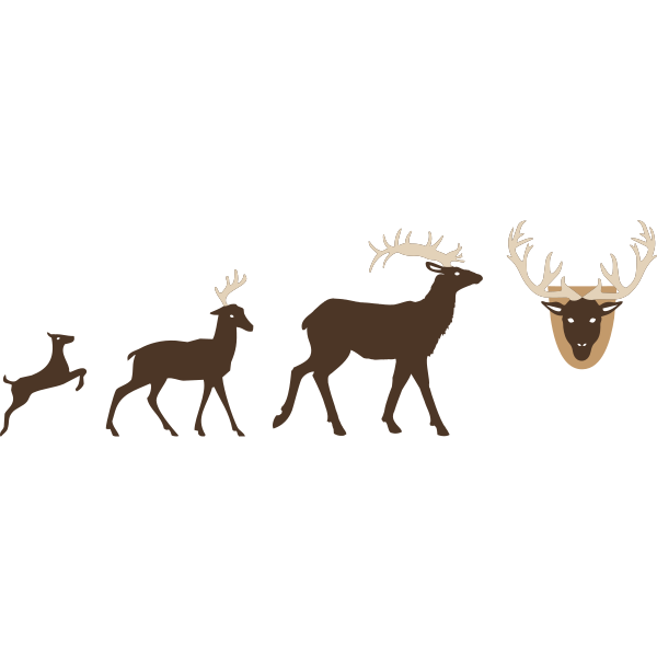 Evolution Deer To Antlers