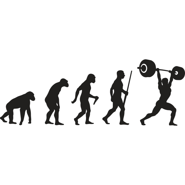 Evolution Of Weight Lifter