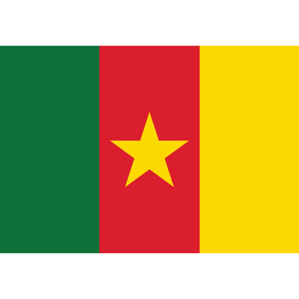 Cameroon Flag