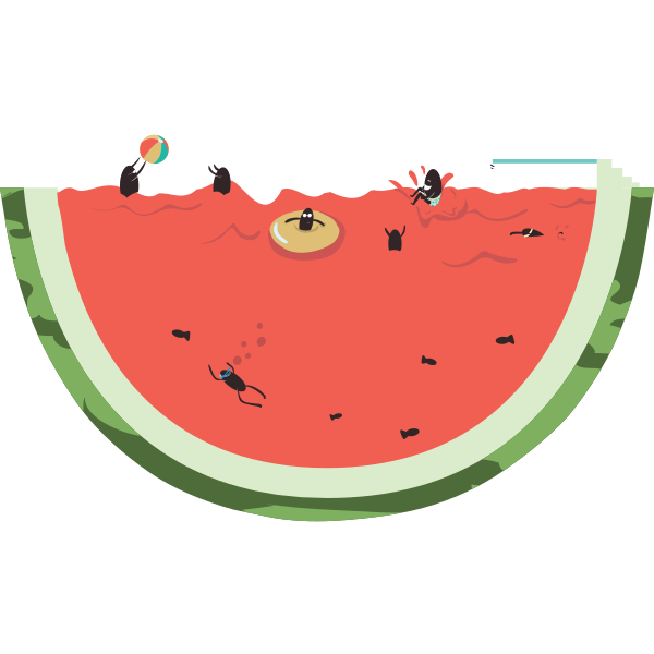 Watermelon Pool Party