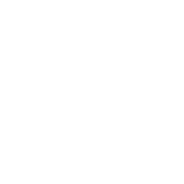 Swiss Cross Coat of Arms