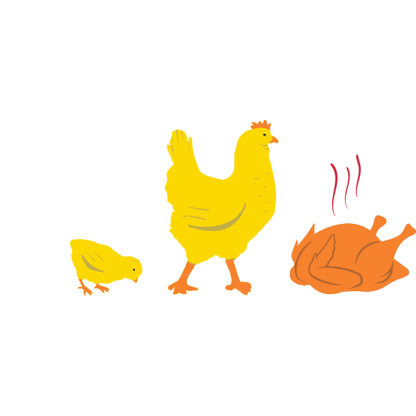 Chicken Evolution