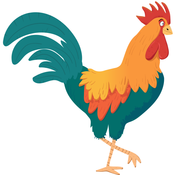 Rooster Illustration