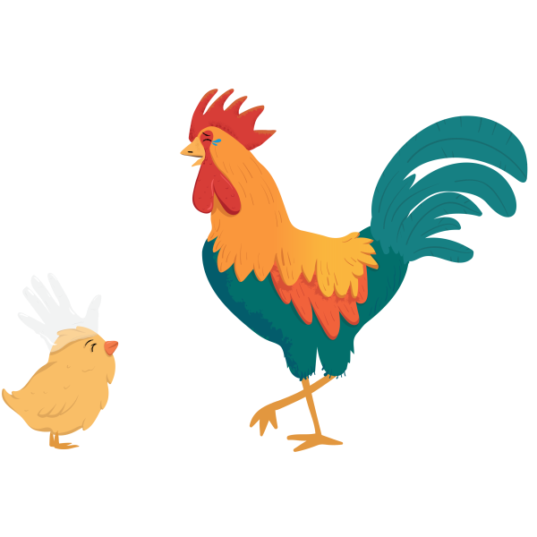 Chicken vs Cock