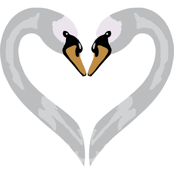 Swans In Love