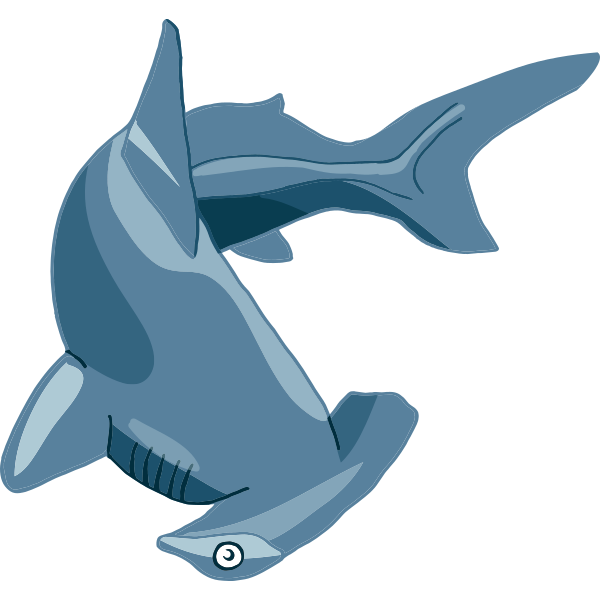 Hammerhead Shark Illustration