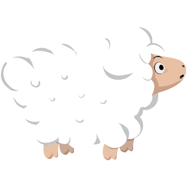 White Sheep