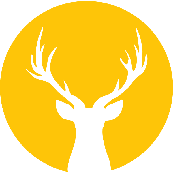 Deer In Moonlight Front