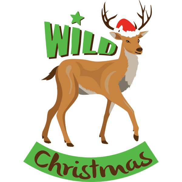 Wild Christmas