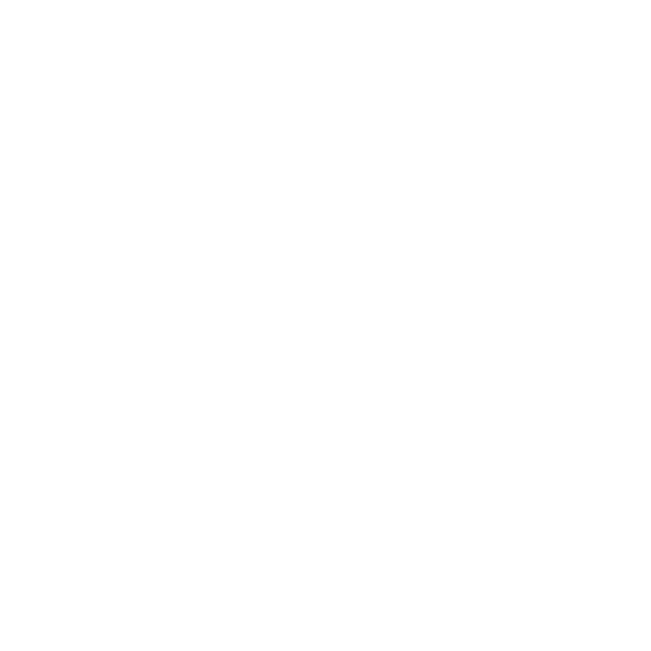 Team Santa