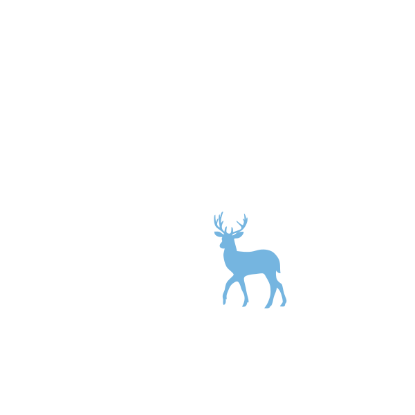 Different Moose