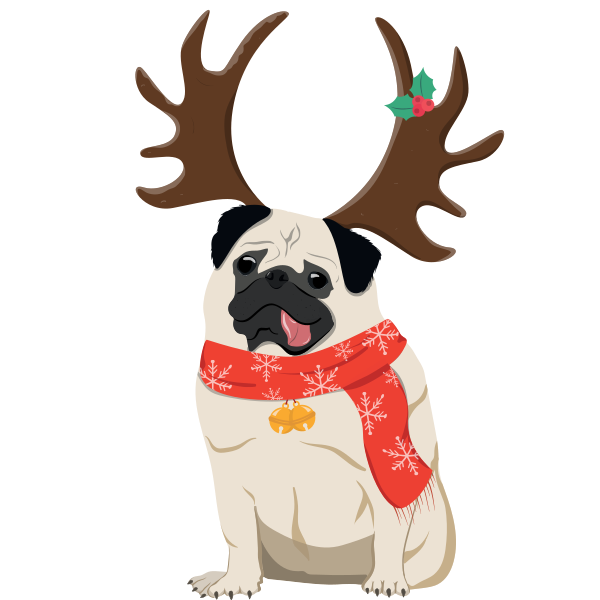 Christmas Pug