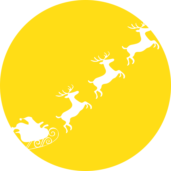 Santa In Moonlight