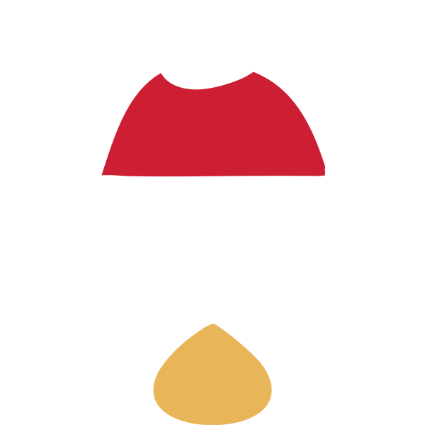 Christmas Penguin Head