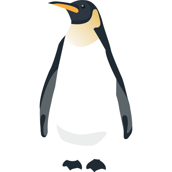 Penguin Illustration