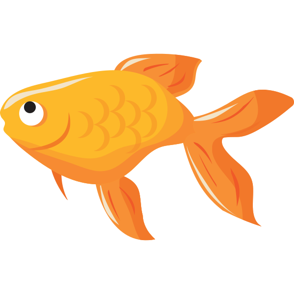 Goldfish