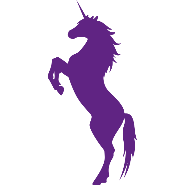 Wild Unicorn Silhouette