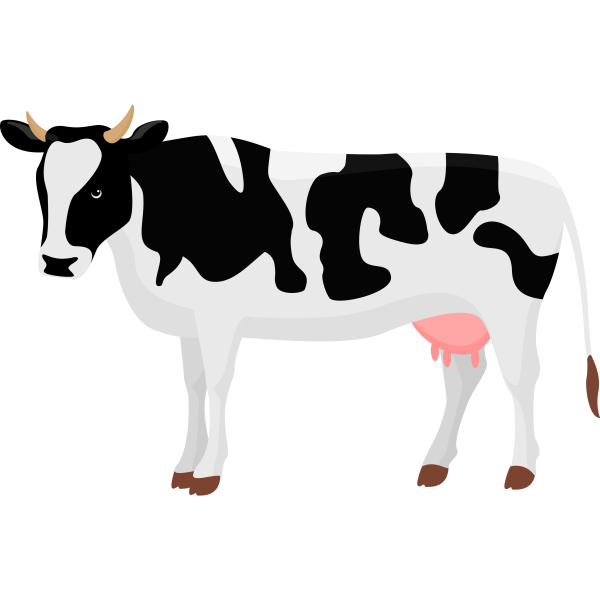 Cow Illu