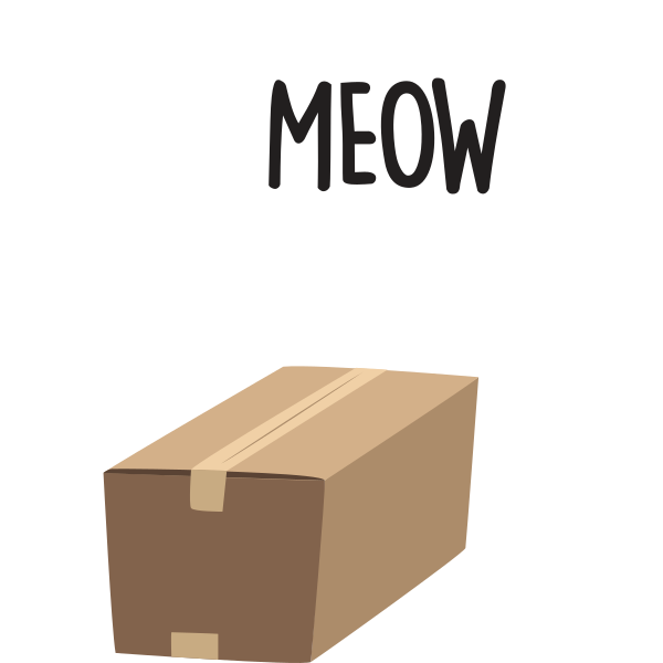 Meow In The Box Schrödinger's Cat