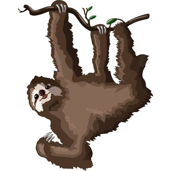 Sloth Illustration