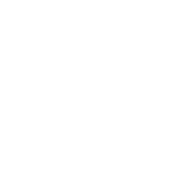 Follower of Jesus