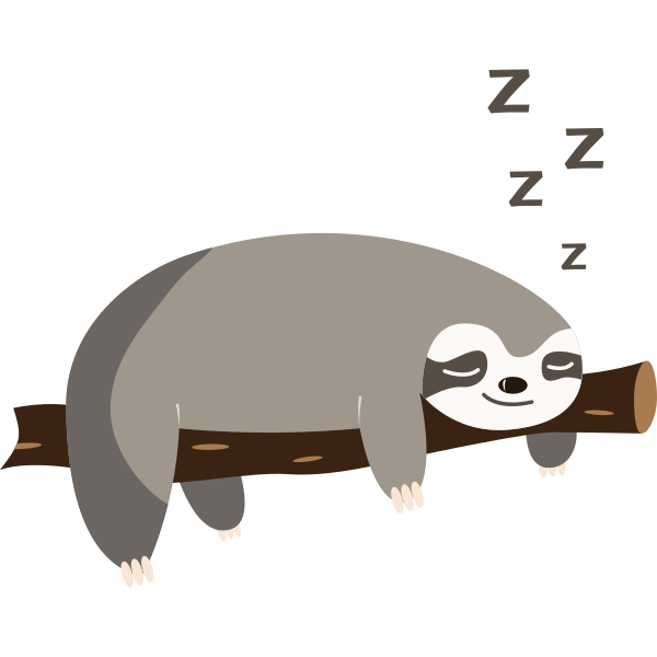 Sleeping Sloth