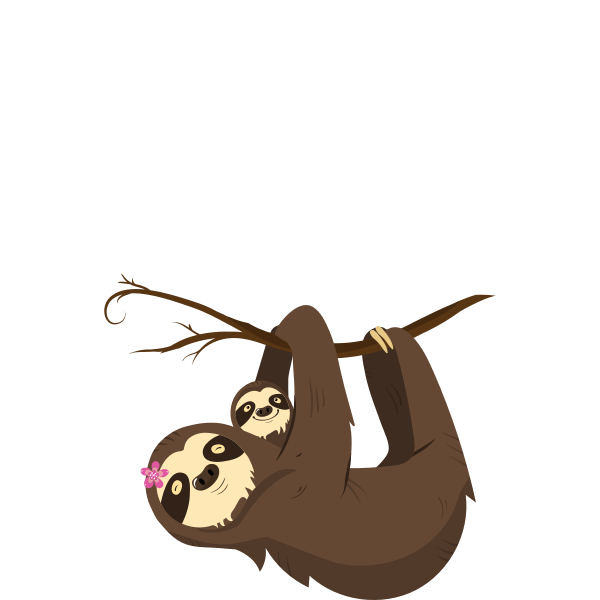 Baby Sloth