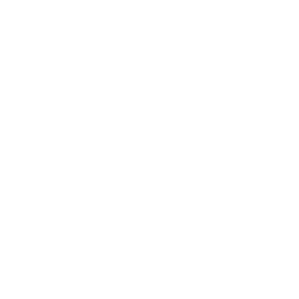 Security Little Sister Protection