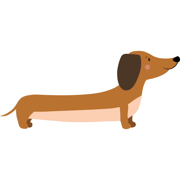 Cute Dachshund