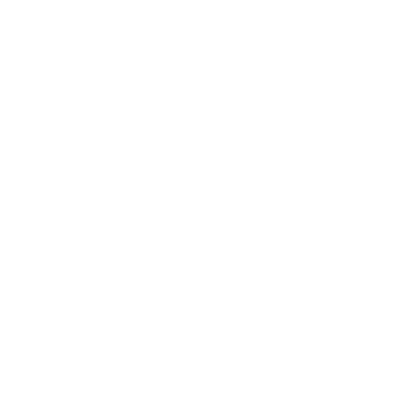 The Good Brother