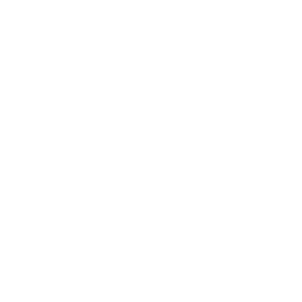 Paper Bunny